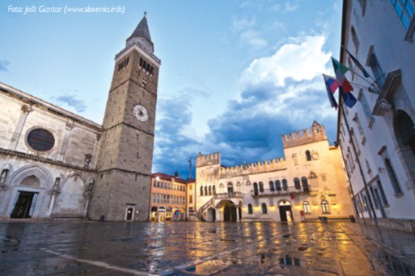 Confirmed list of candidates for the Rector of UP