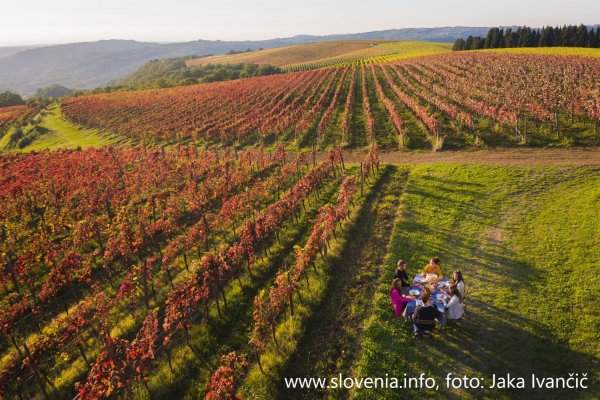 Zadnji del projekta Turizmo I&scaron;triano