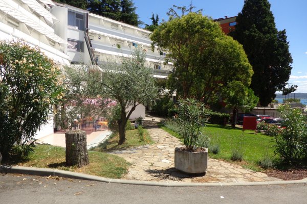 Subsidized student stay: applications and extension 2020/2021 