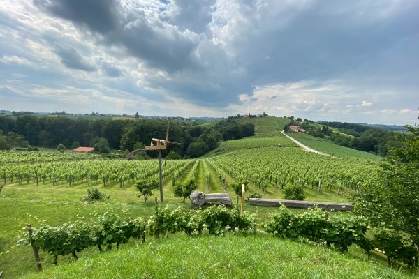 World Tourism Day 2020: Tourism and Rural Development