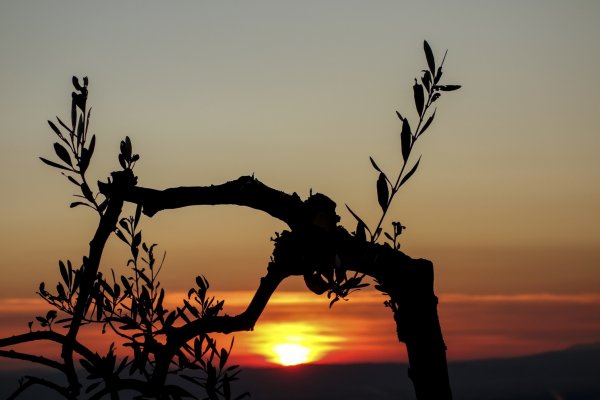 Okrogla miza o vlogi in pomenu nesnovne dedi&scaron;čine Istrskega podeželja za turizem
