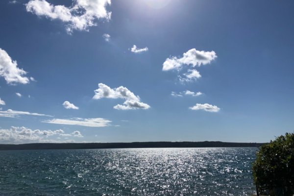 GOST UP: 3. poročilo gostujočega predavatelja dr. Simona Lična