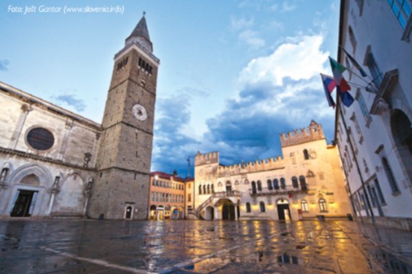 Public call to obtain UP scholarship for 2021/2022