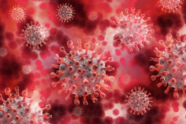Prilagojena epidemiolo&scaron;ka navodila (januar 2022)