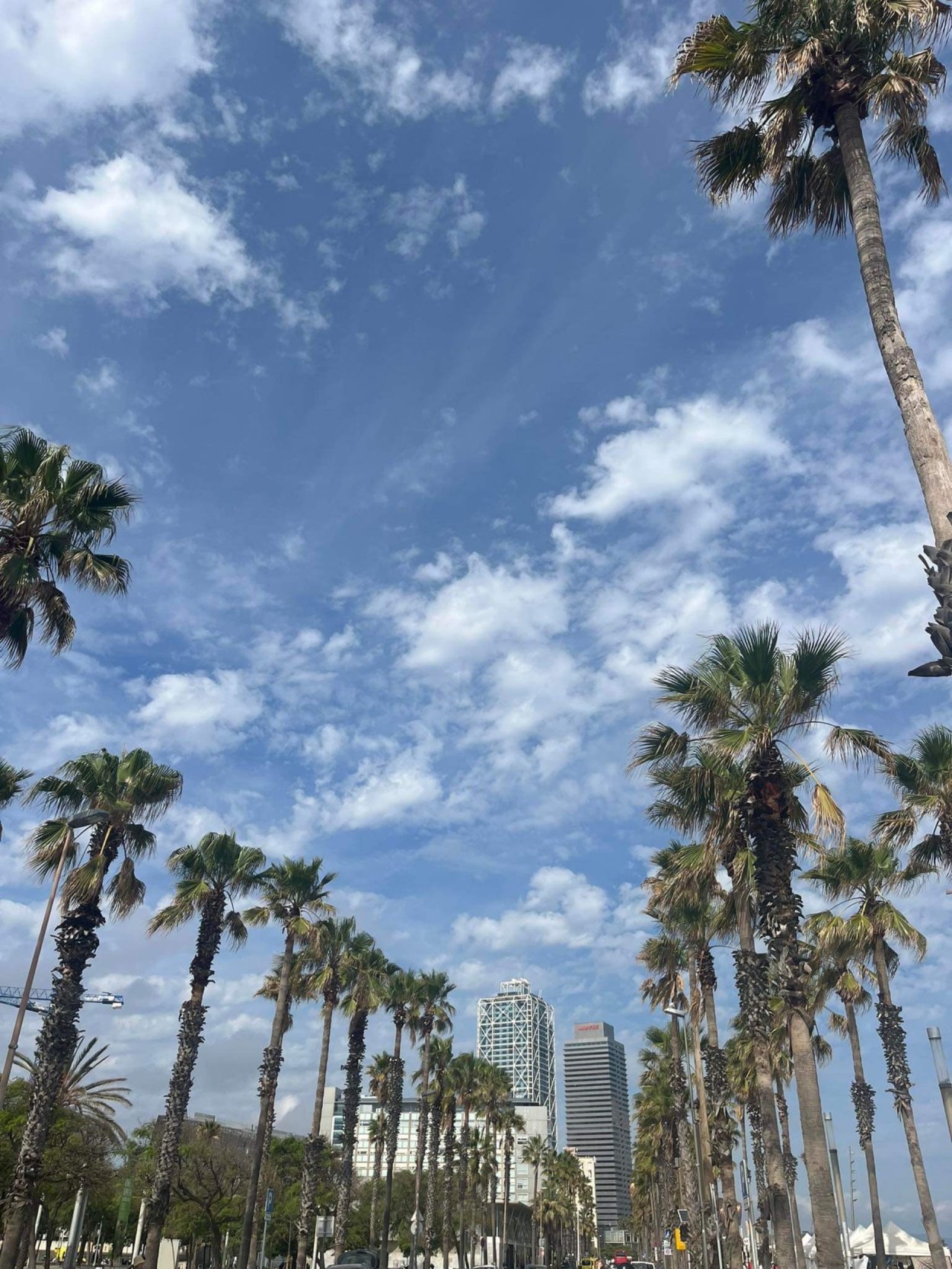 Koraki po barcelonskih ulicah: Raznolikost, učenje in nepozabne pustolov&scaron;čine