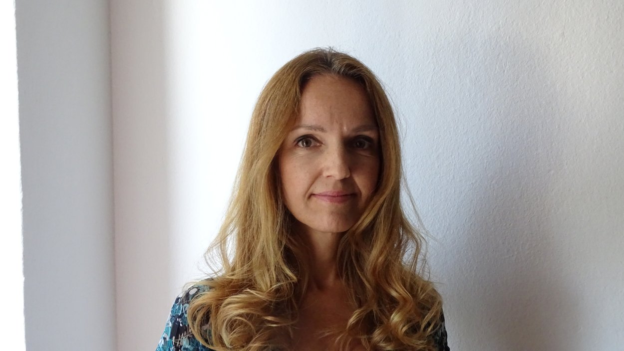 maecenas mollis libero vel