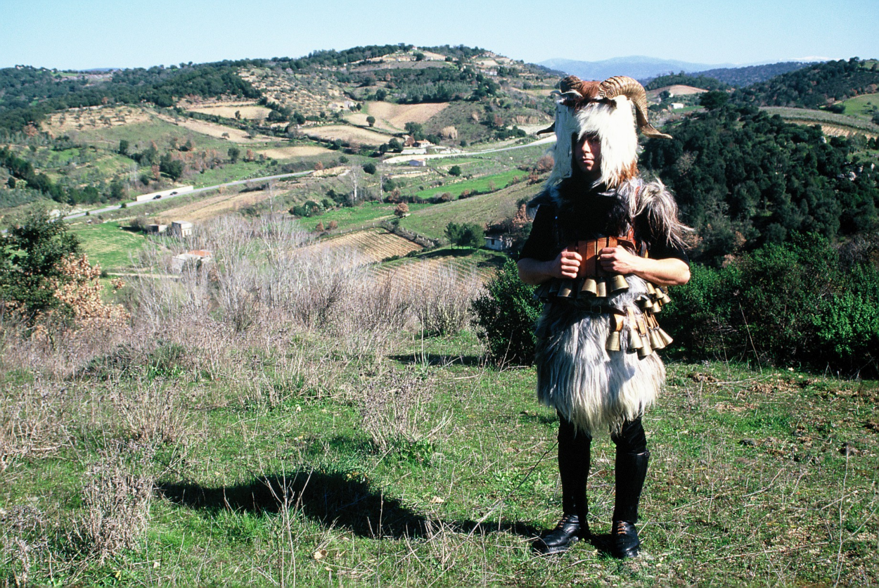 adipiscing elit tempor scelerisque sollicitudin urna libero