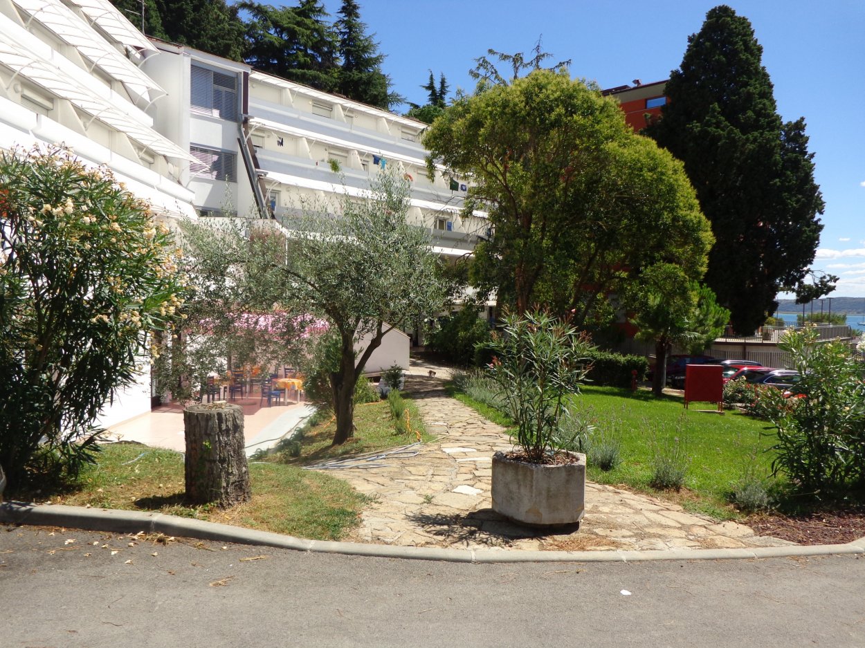 dolor placerat velit sagittis vehicula eros