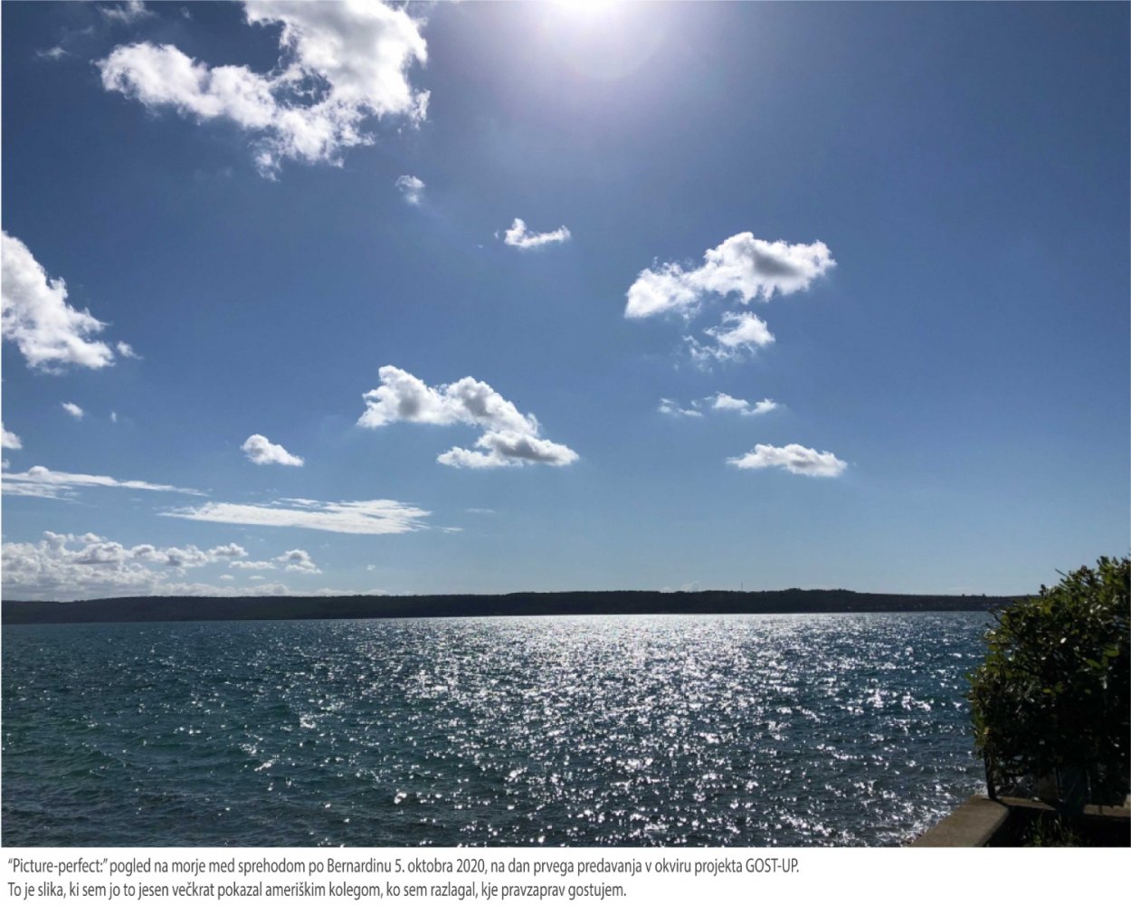 ipsum vitae primis eget turpis