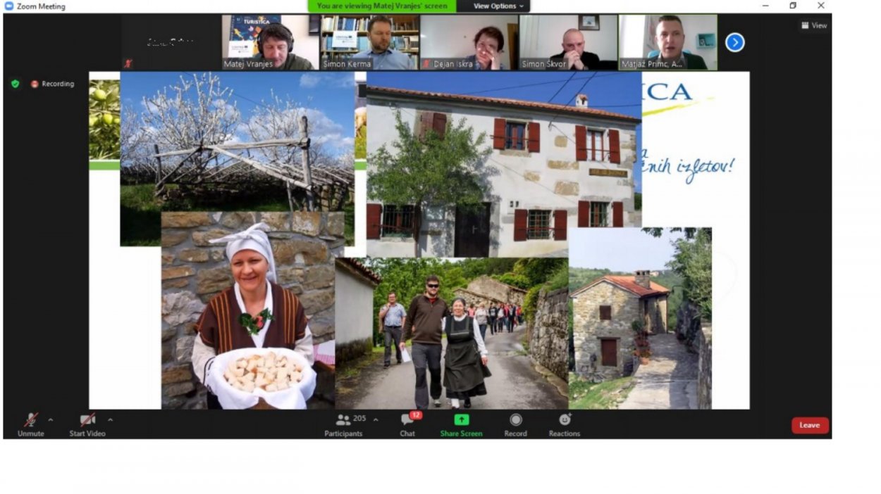 maecenas ac ut ex suscipit