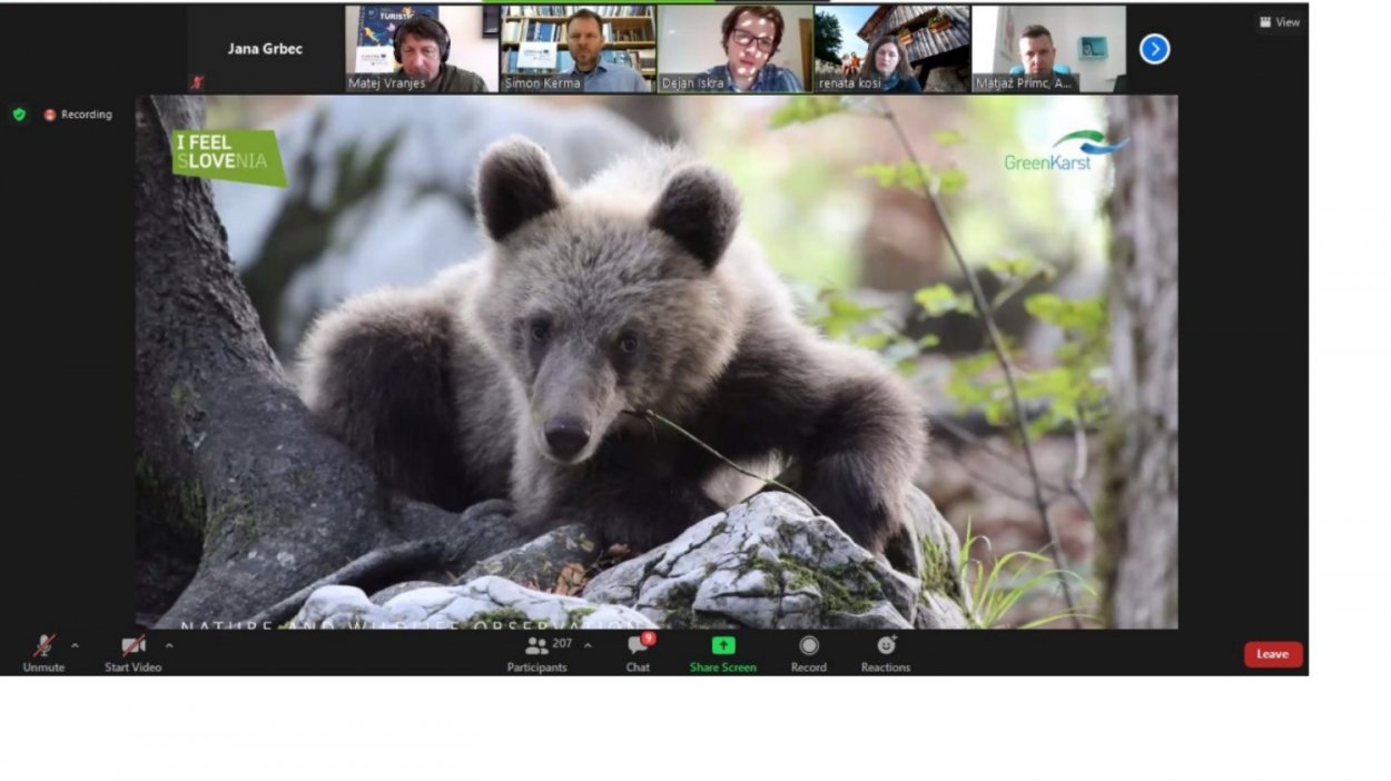 egestas nibh mollis orci curae class duis cras