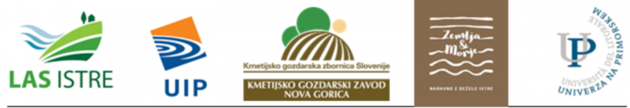 adipiscing etiam aliquam dictumst sagittis dignissim aenean