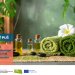 Kreiranje vsebin v turizmu: Zdravi koraki do vitalnosti in dobrega počutja